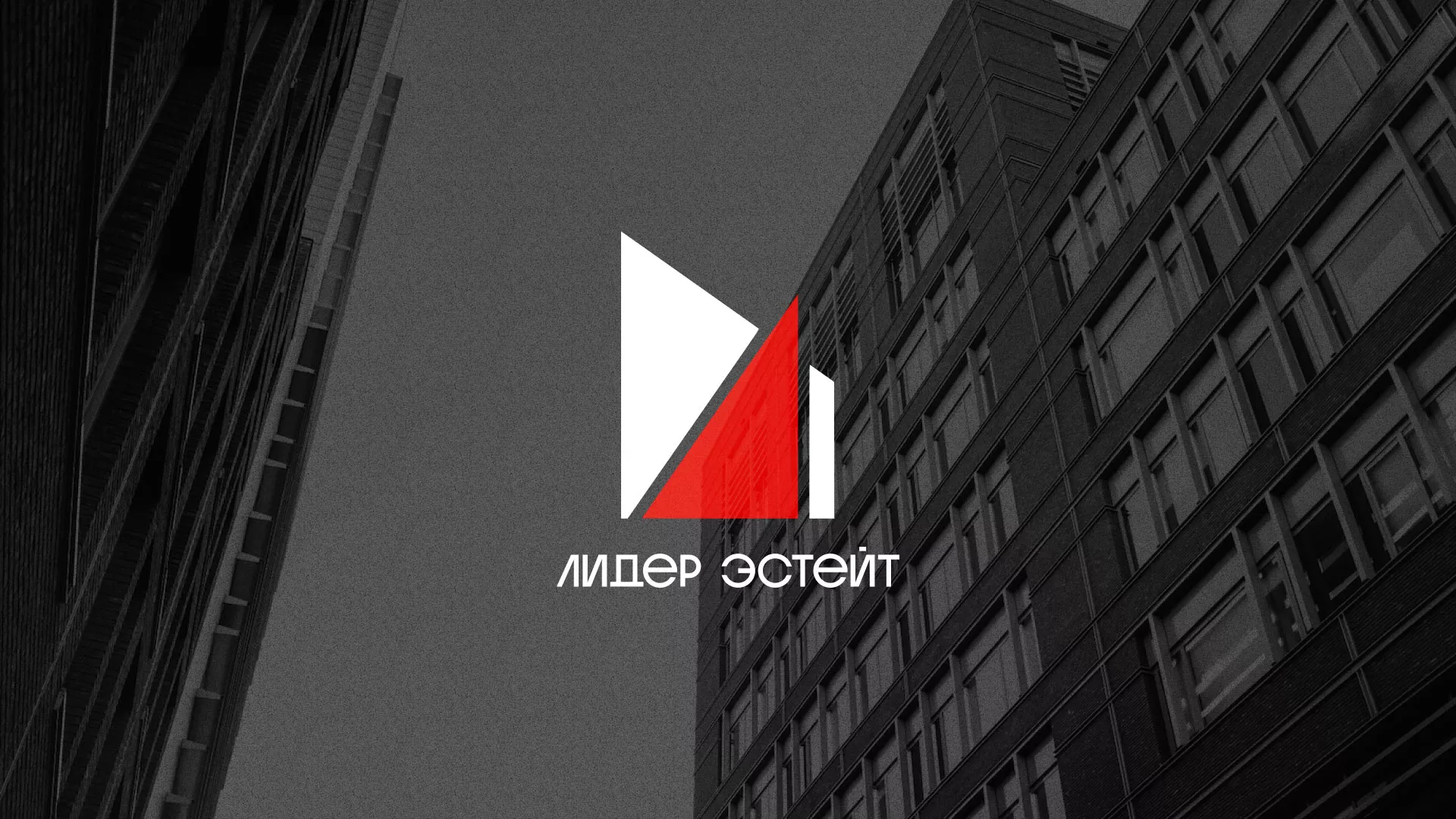 Сделали логотип для агентства недвижимости «Лидер Эстейт» в Нягане